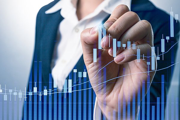 IBU-tec Investor Relations Cyber Statistik