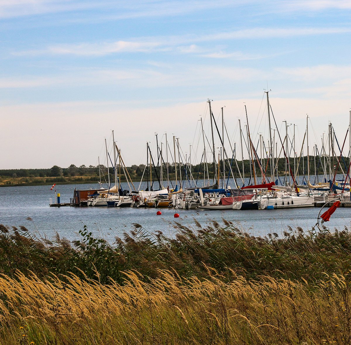 Segelboote an einem Anleger auf einem See bei Bitterfeld-Wolfen